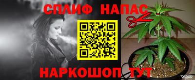 винт Славянск-на-Кубани